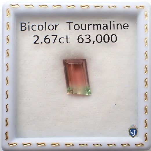 トルマリン】バイカラートルマリン 2.67ct(No.32612446