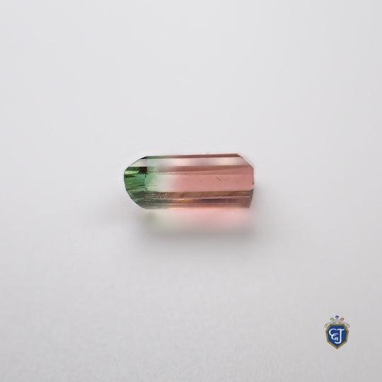 楽天市場】【鑑別付】天然バイカラートルマリン 17.138ct 赤/緑