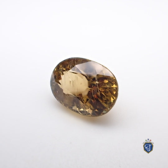 custom_resized_91a01b50-6c90-